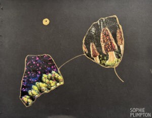 "Champignon 2" 11" x 14", Mixed Media Collage, 2025