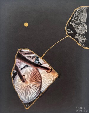 "Spore-bearing Fungus", 11" x 14", Mixed Media Collage. 2025