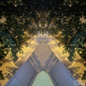 12" x 12". Photo. 2025