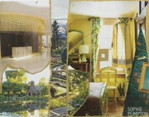 "Burst of Yellow"